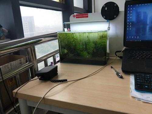 办公室鱼缸放自动的还是手动的？自动办公桌