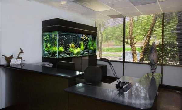 办公室鱼缸放在客厅哪个位置好？（办公室鱼缸放哪）